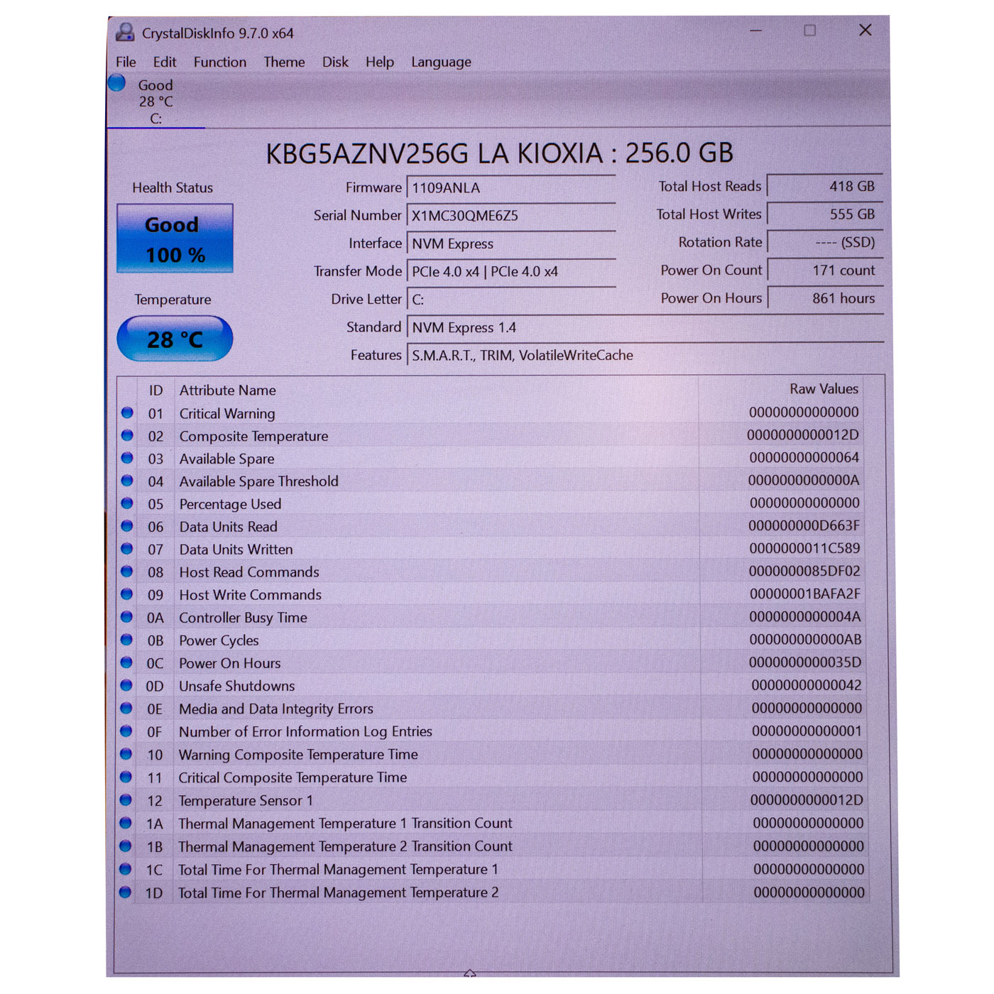 Kioxia PCIe Gen 4x4 NVMe M.2 256 GB SSD Hard Drive